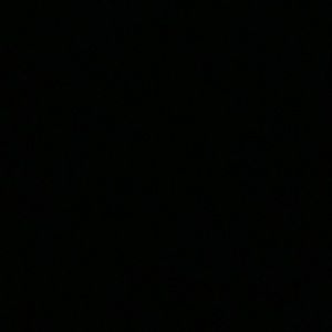 Meet your Posher, Adrienne